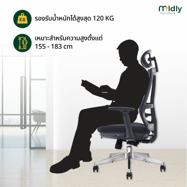 เหมาะกับสรีระทุกสัดส่วน เก้าอี้ออฟฟิศสุขภาพ รุ่น mildly-ergonomicchair-cclass เก้าอี้ทำงาน เก้าอี้ออฟฟิศ ครบทุกฟังก์ชันตามหลักสรีรศาสตร์