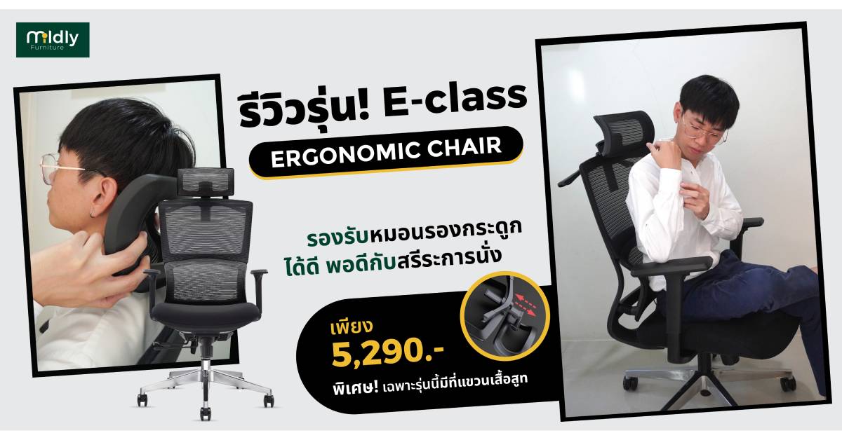 เก้าอี้สุขภาพ Mildly E-class