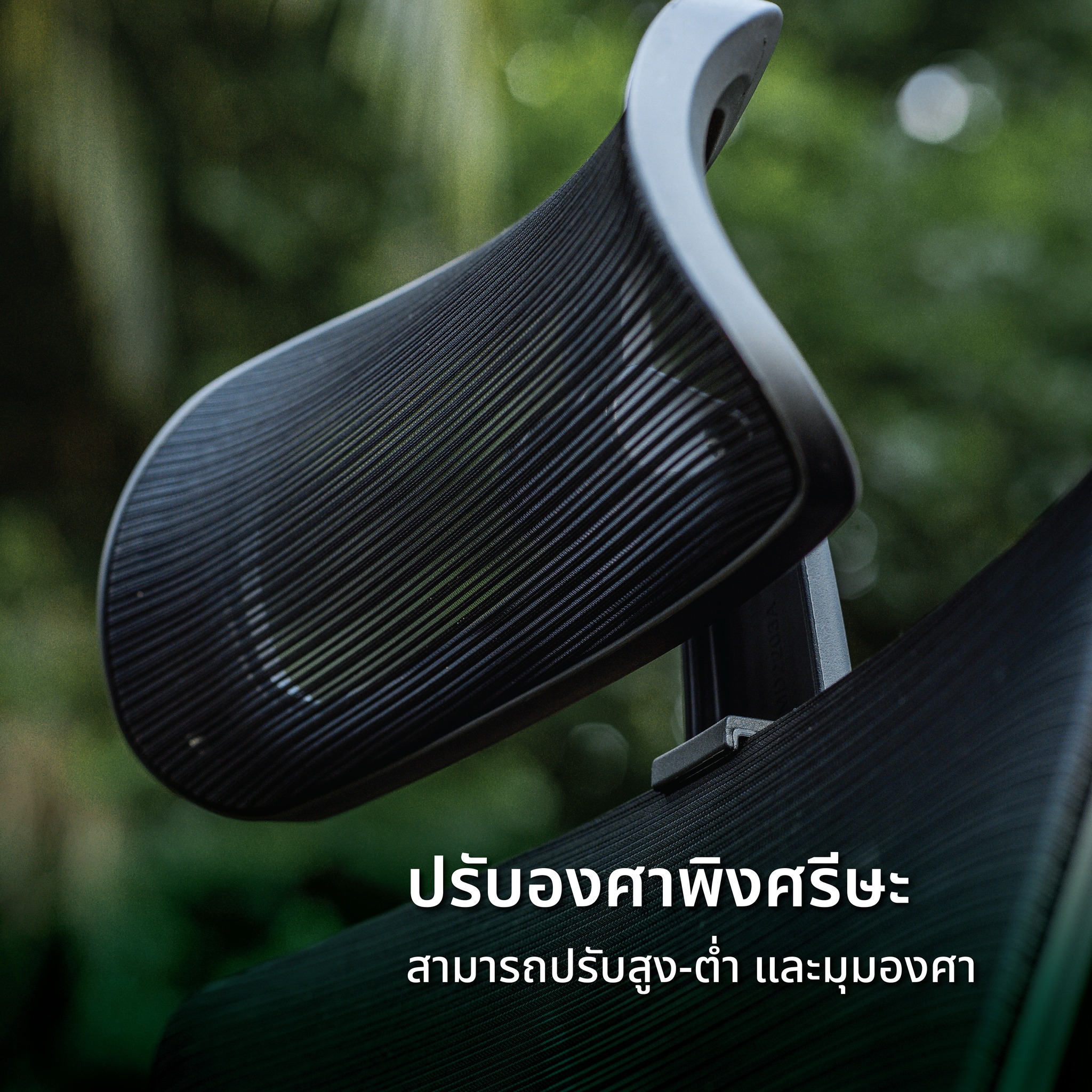 Mildly ergonomic chair C-class เก้าอี้สุขภาพมาย์ลี่