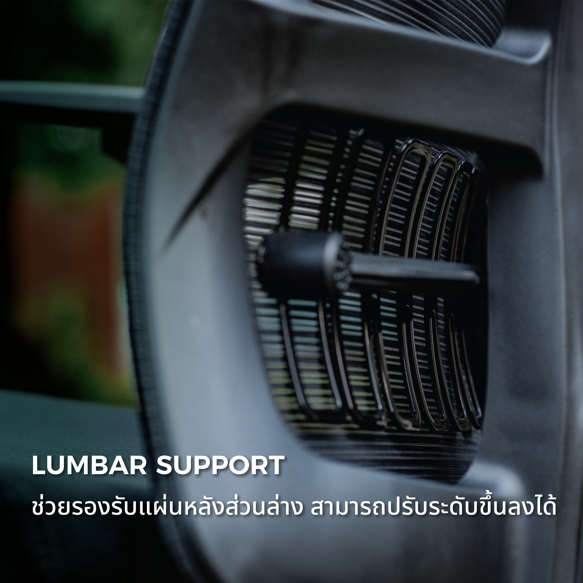 Mildly ergonomic chair C-class เก้าอี้สุขภาพมาย์ลี่