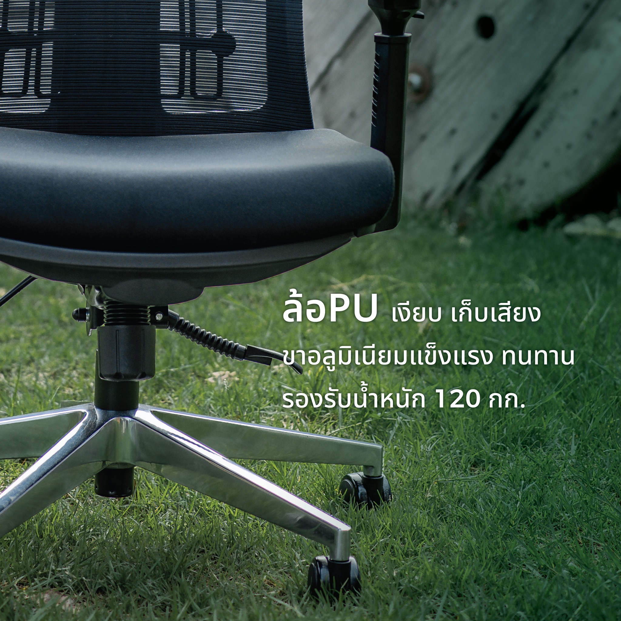 Mildly ergonomic chair C-class เก้าอี้สุขภาพมาย์ลี่