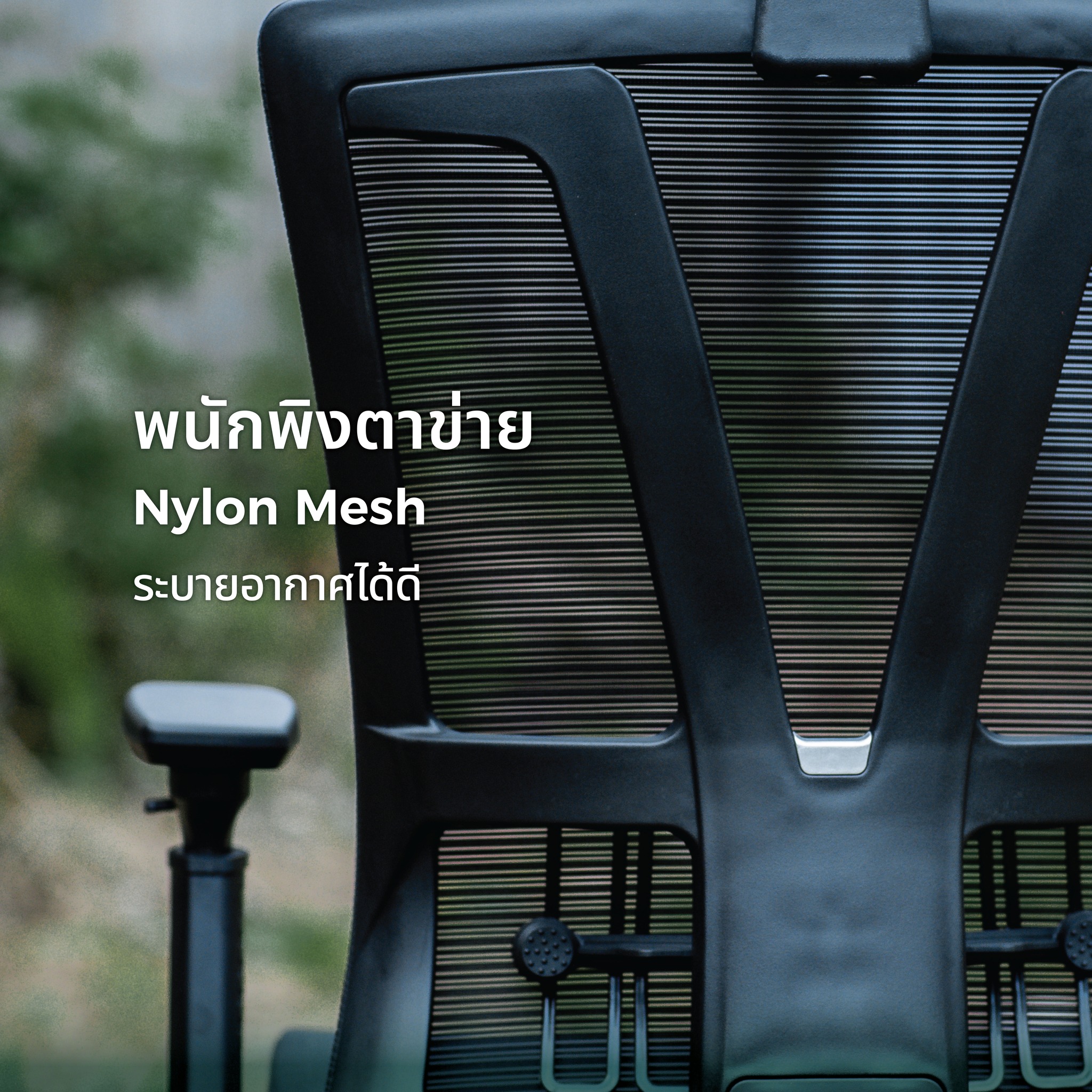 Mildly ergonomic chair C-class เก้าอี้สุขภาพมาย์ลี่